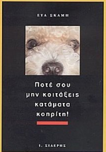 Ποτέ σου μην κοιτάξεις κατάματα κοπρίτη!