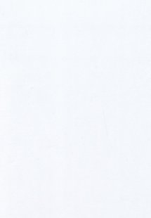 Τα ζώα του δάσους