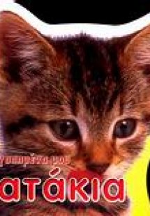 Τα αγαπημένα μου γατάκια