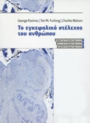 Το εγκεφαλικό στέλεχος του ανθρώπου